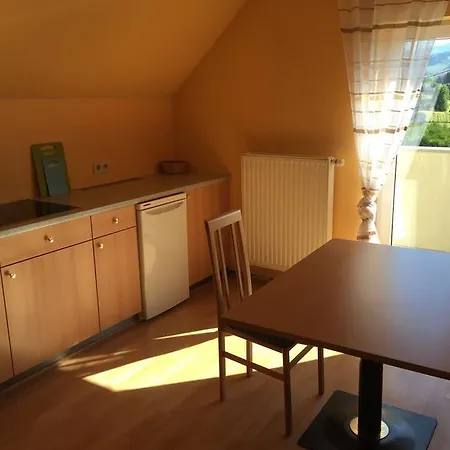 公寓 Appartments Feldkirchen