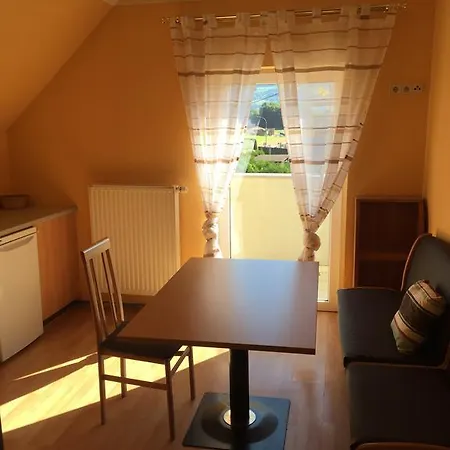 公寓 Appartments Feldkirchen *